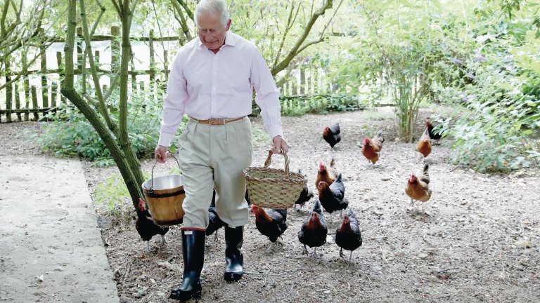 Prince Charles with chickens at Highgrove