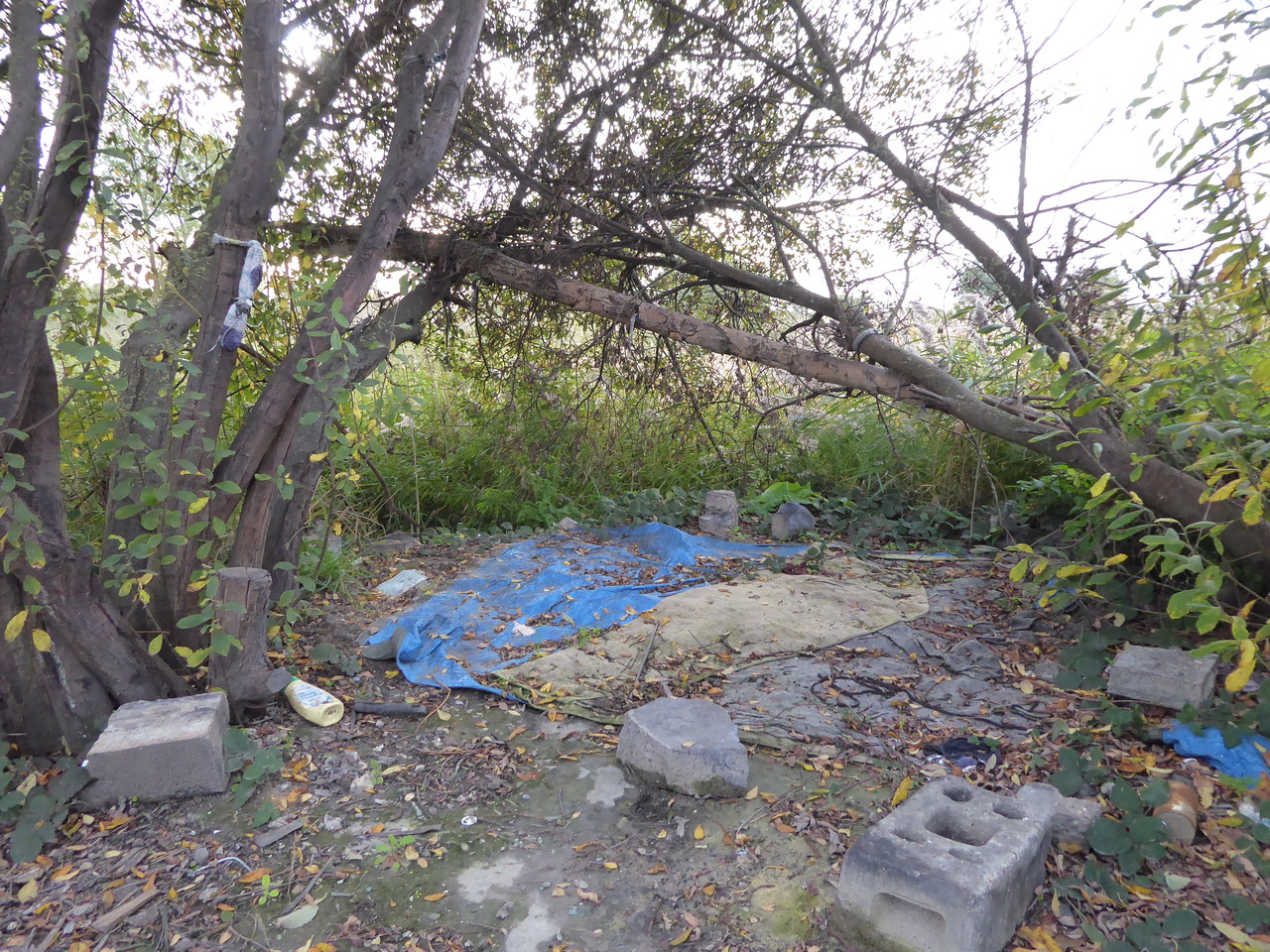 A recently vacated camp. Photo: Steven MacKenzie