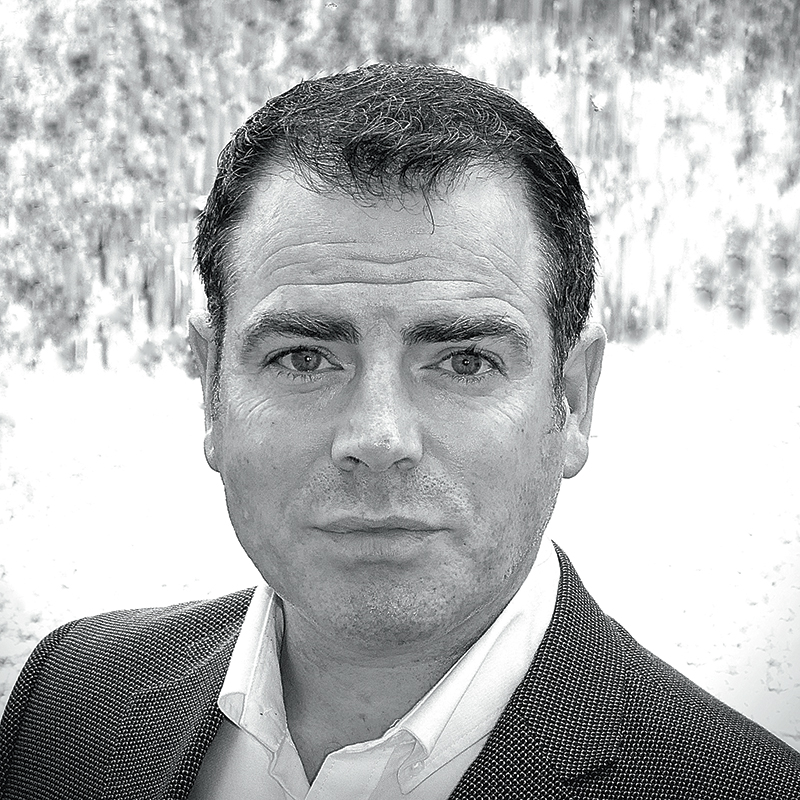 Jarlath Kearney, Northern Ireland political expert