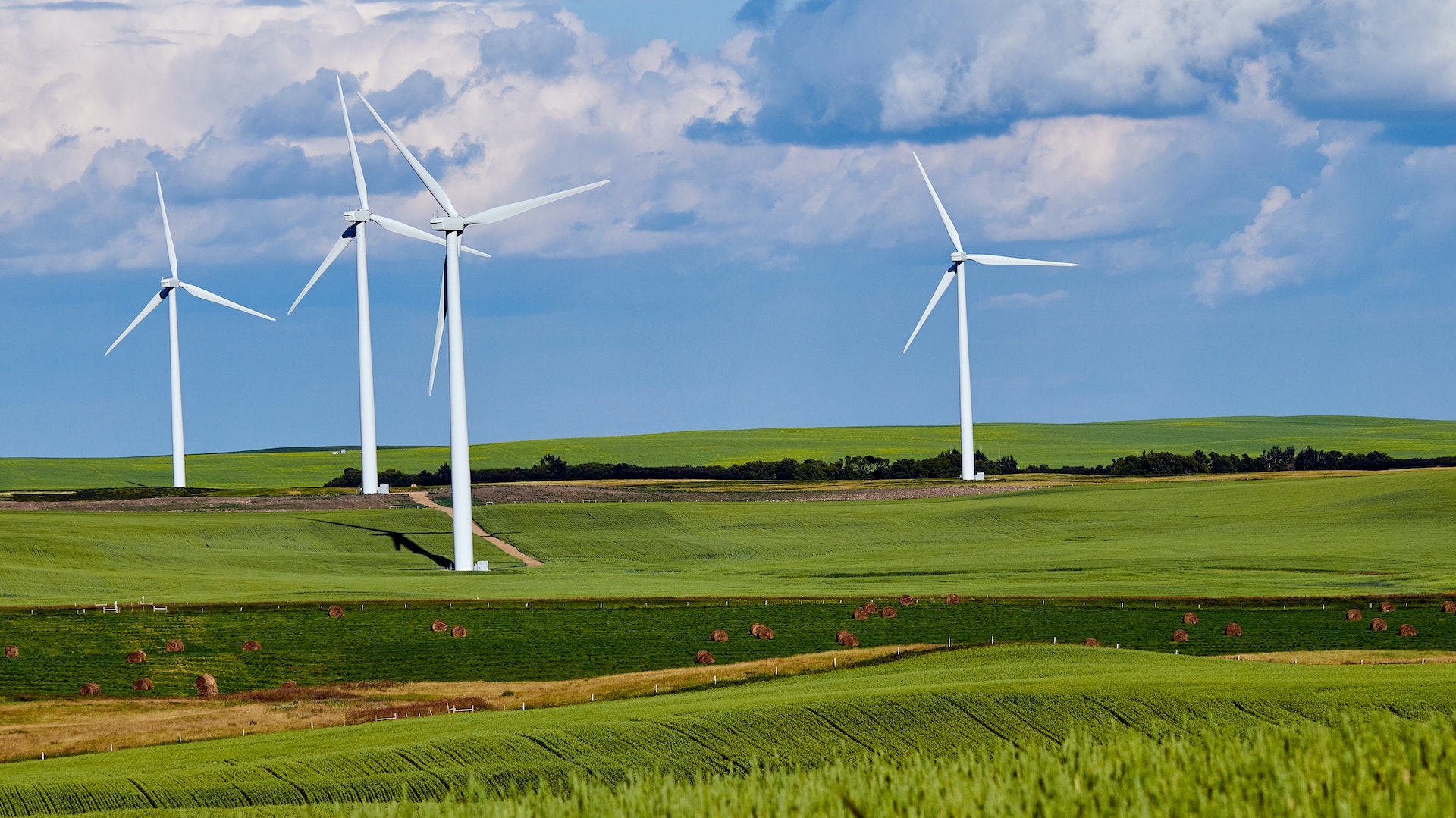 wind turbine farm