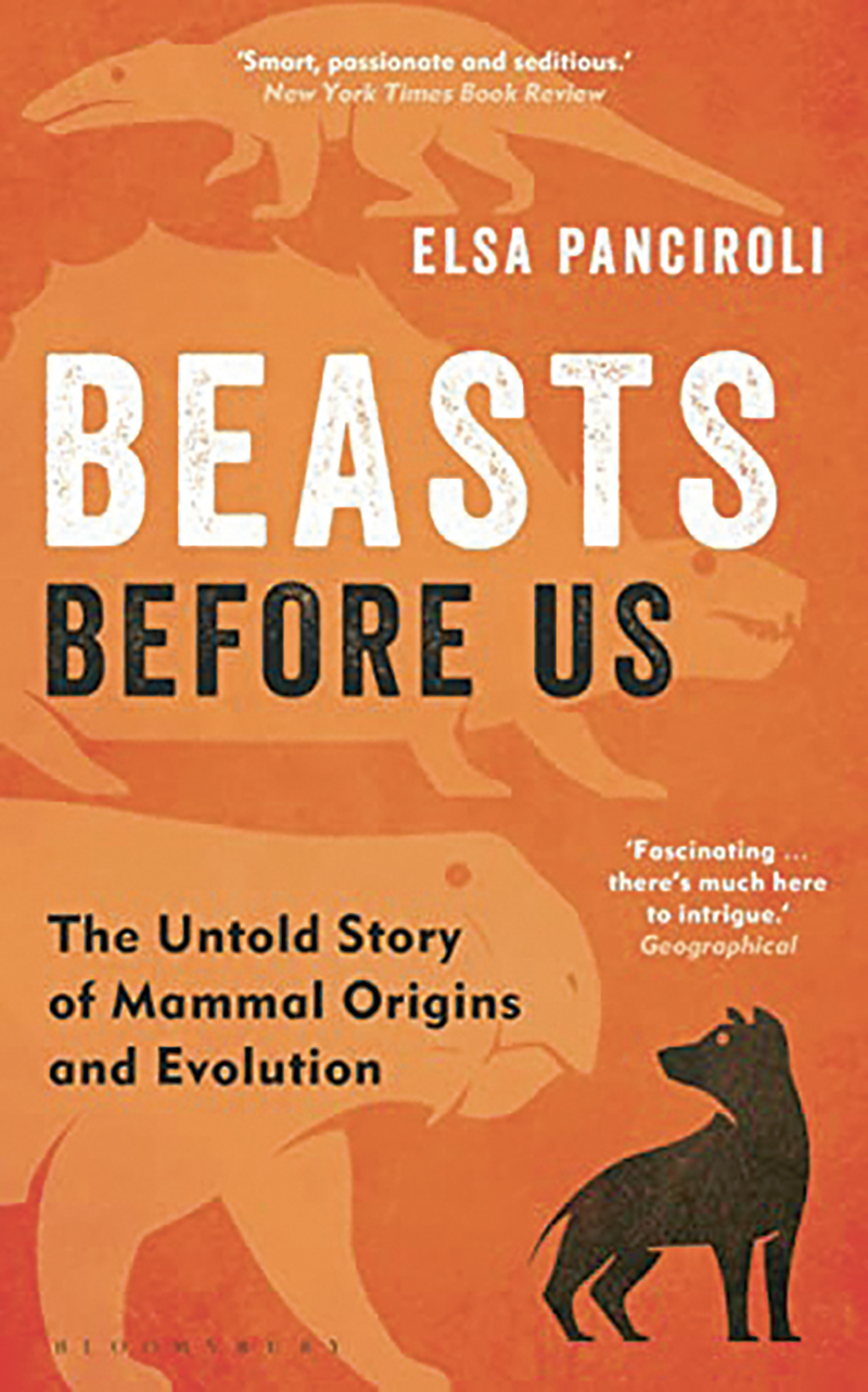 Beasts Before Us