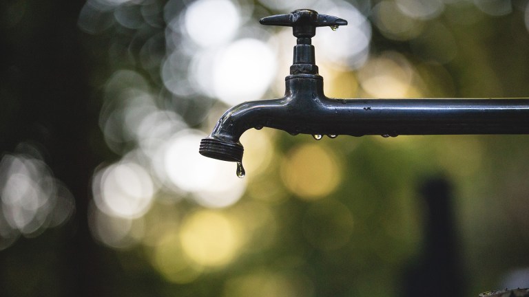 A dripping tap against dappled sunlight