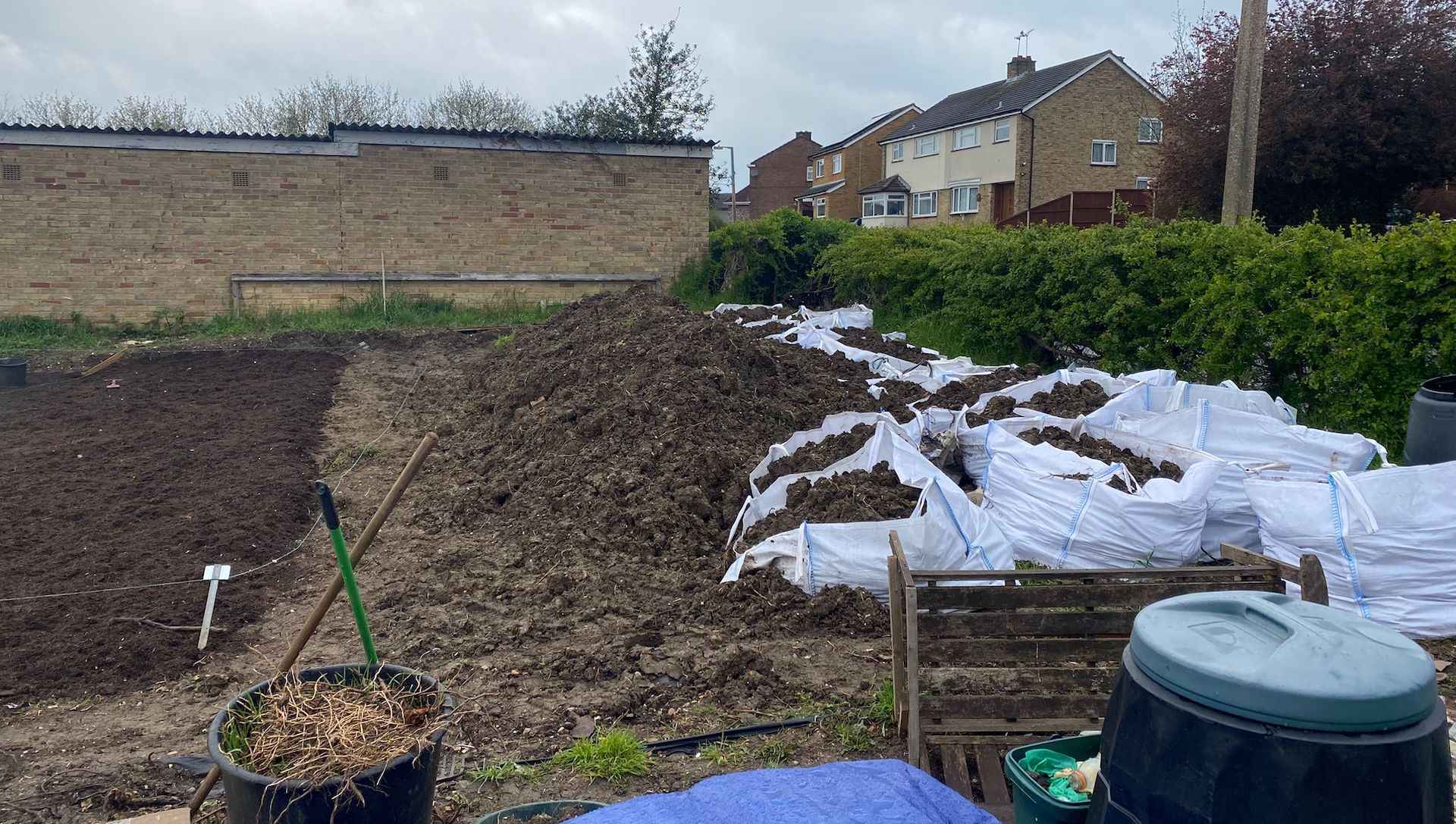 Front of the allotment where the ruined soil is now gathered in piles next to a hedge which can be easily climbed through