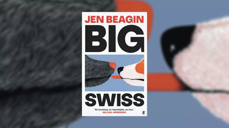 Big Swiss book cover