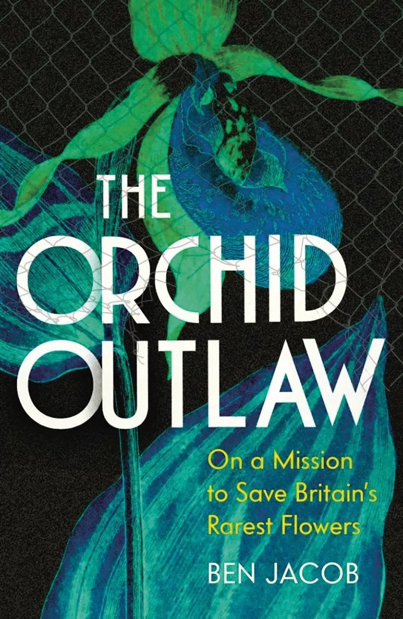 The Orchid Outlaw book cover