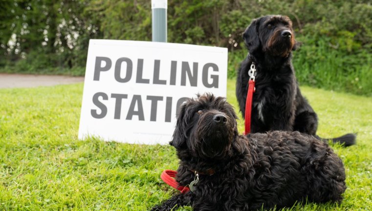 Dogs at polling stations