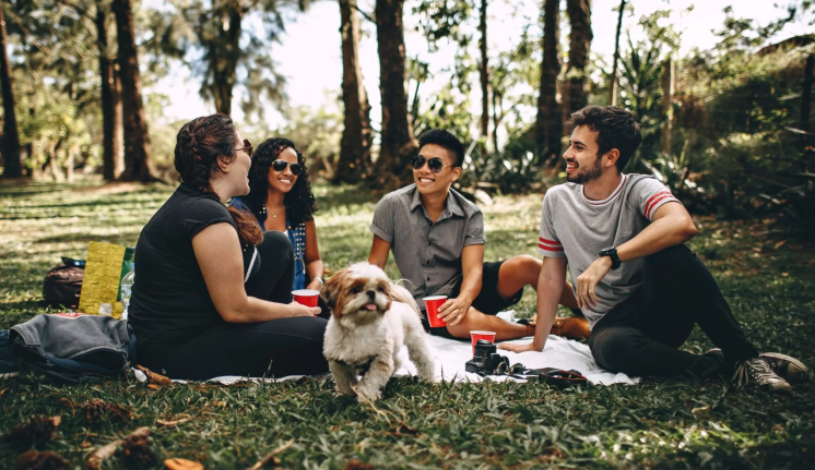 Friday afternoon chilling in the park