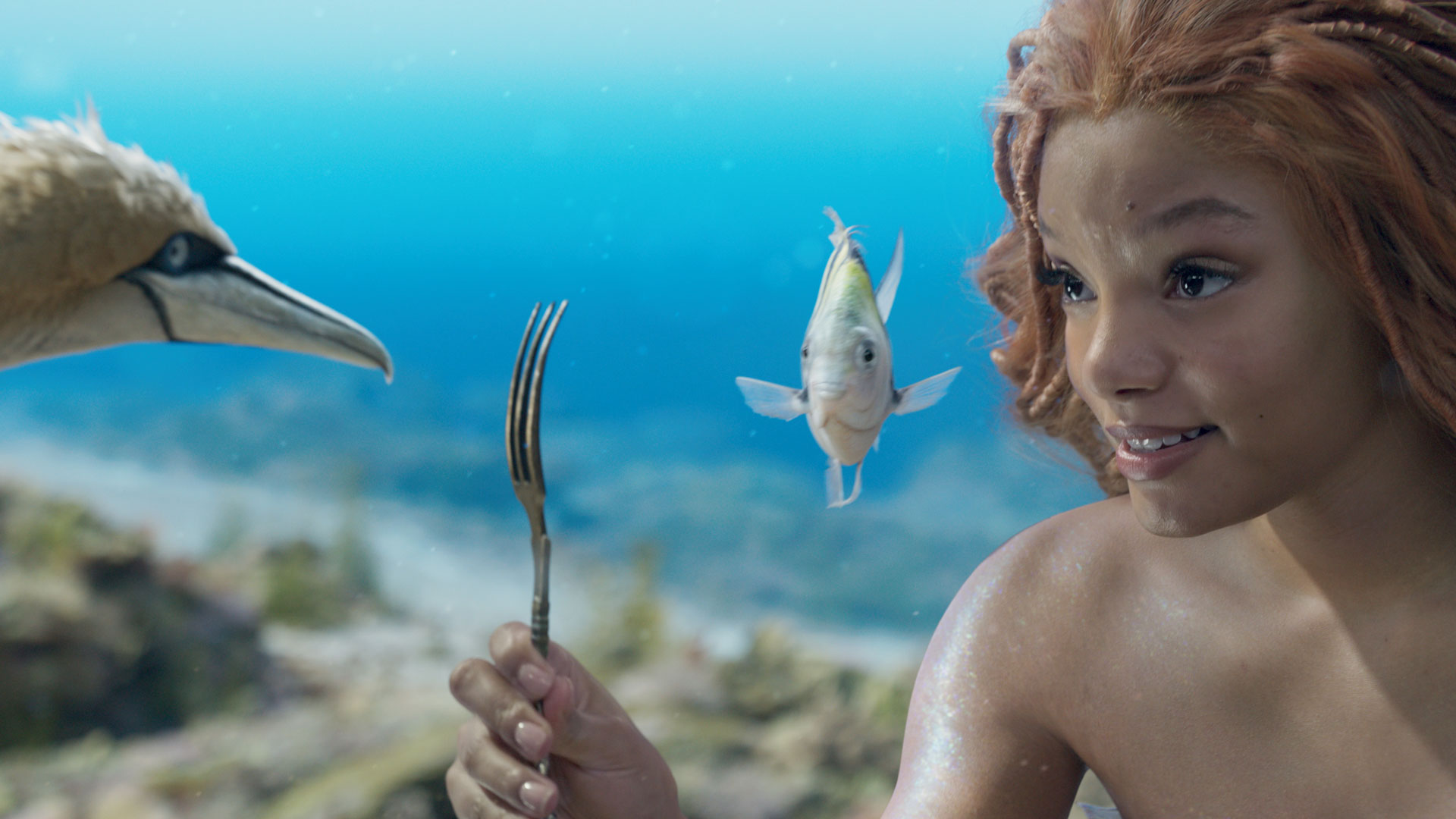 Scuttle (voiced by Awkwafina), Flounder (voiced by Jacob Tremblay), and Halle Bailey as Ariel in Disney's live-action The Little Mermaid. Photo courtesy of Disney