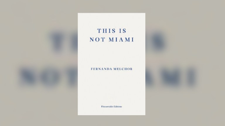 This Is Not Miami by Fernanda Melchor (translated by Sophie Hughes) is out now (Fitzcarraldo, £12.99)