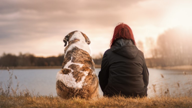 A dog and a human looking at a sunset