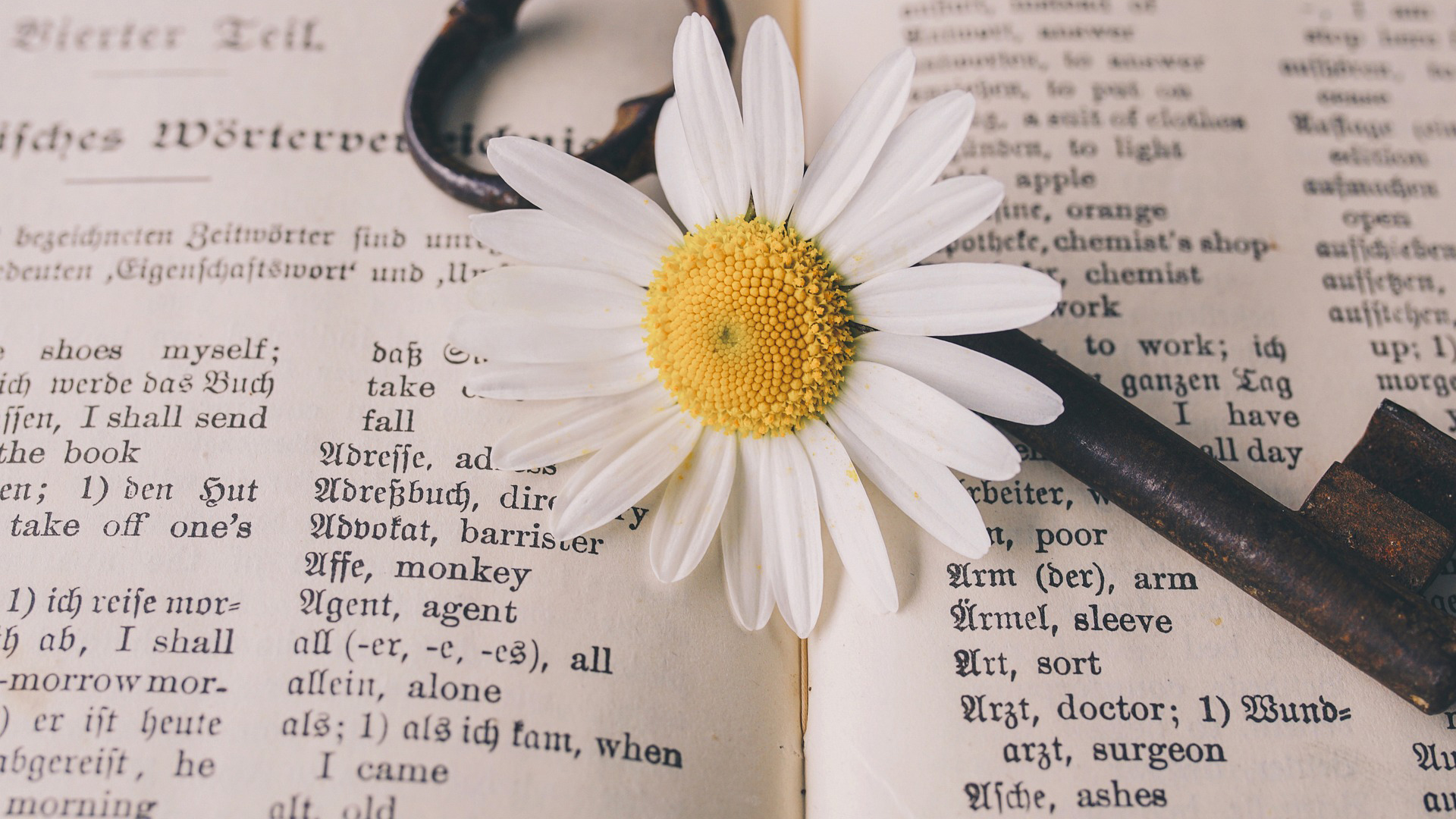 A book of translation, a daisy and a key