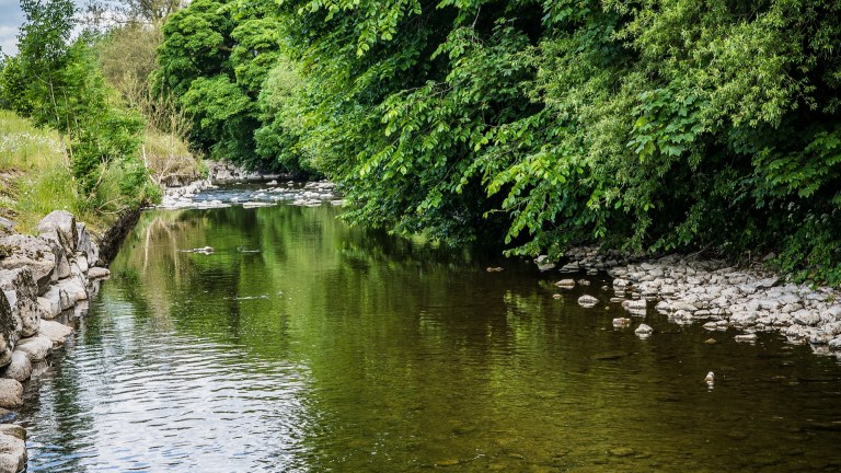 Changing river pollution to boost housebuilding has enraged the RSPB