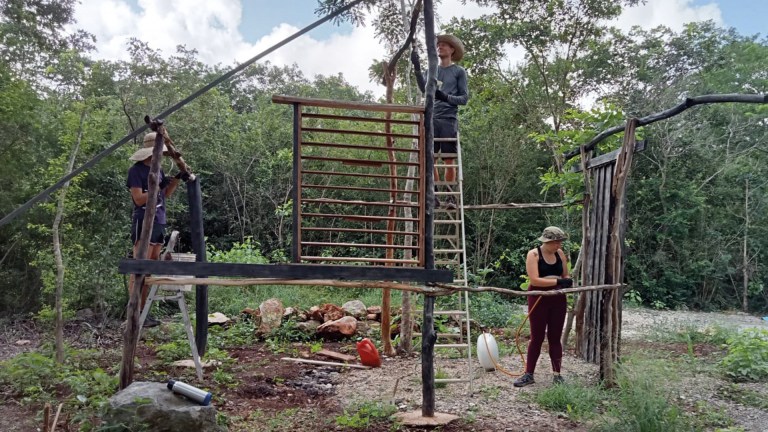 people constructing a timber frame