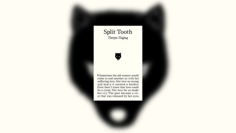 Split Tooth book cover