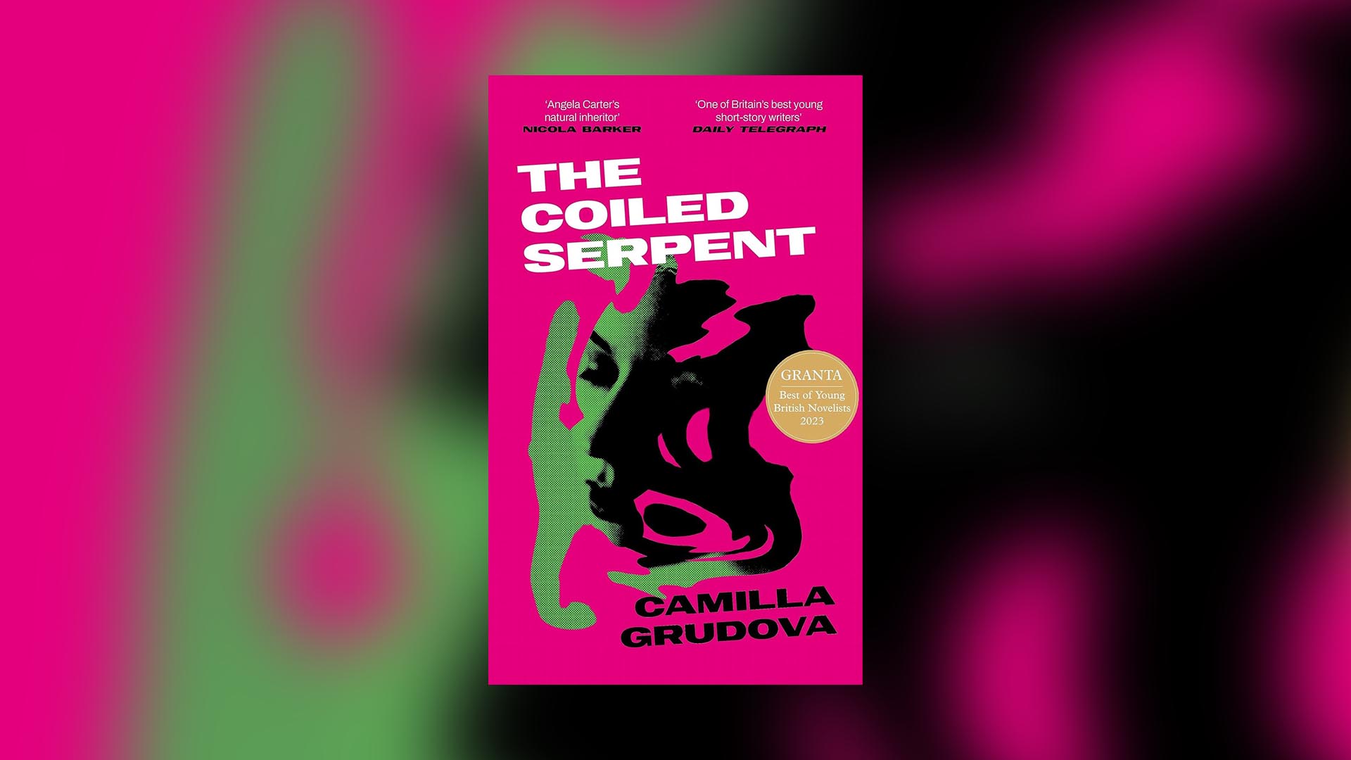 The Coiled Serpent by Camilla Grudova is out now (Atlantic Books, £14.99)