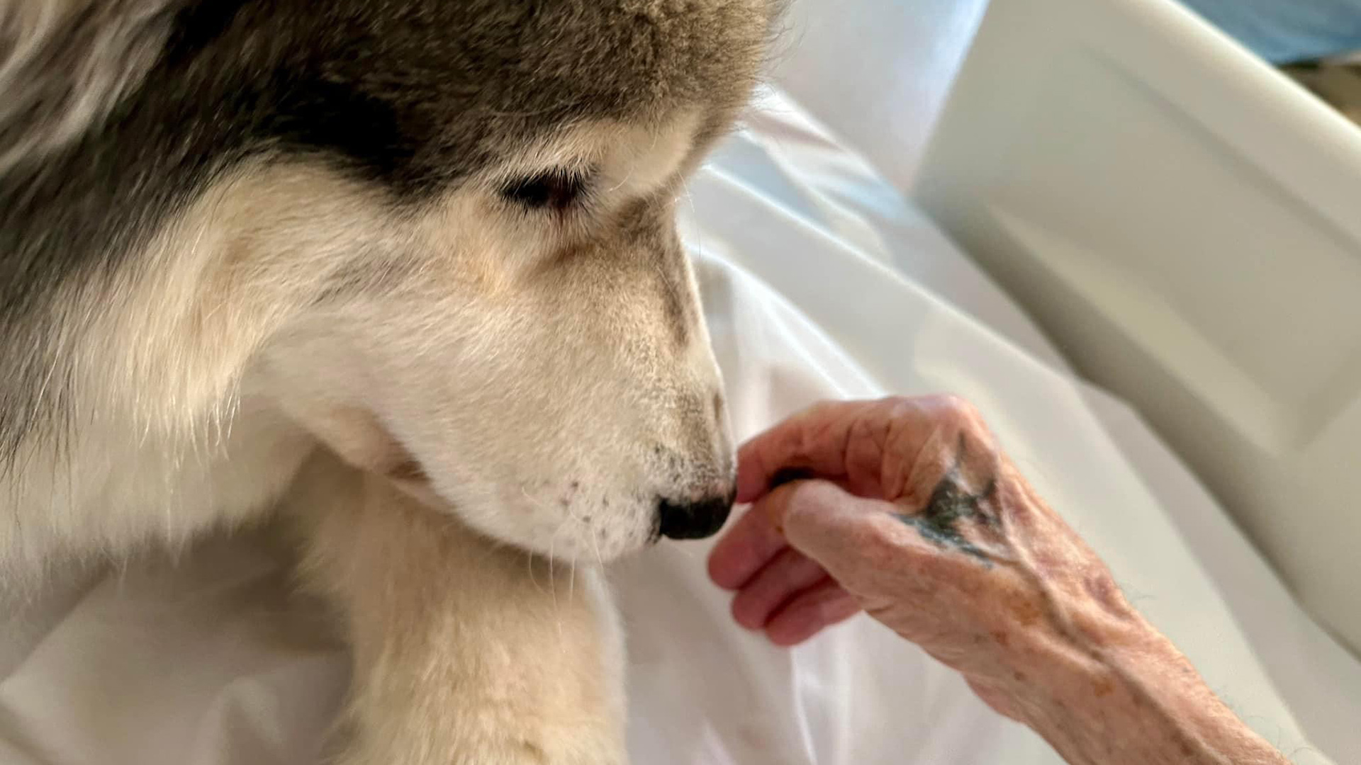 Thunder comforts a patient