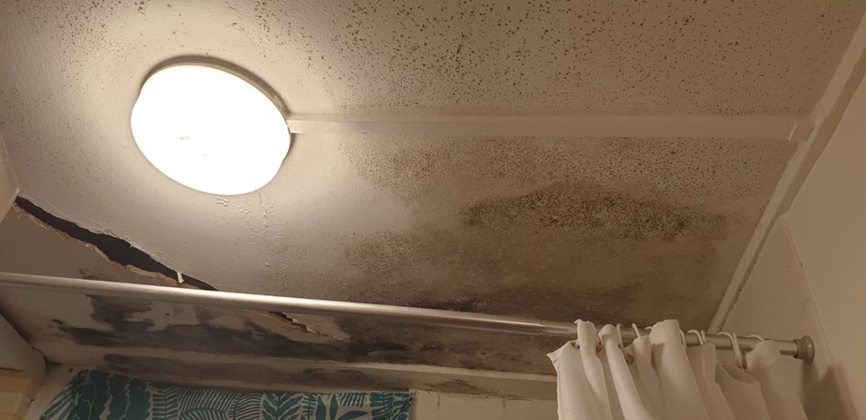 damp and mould at London home