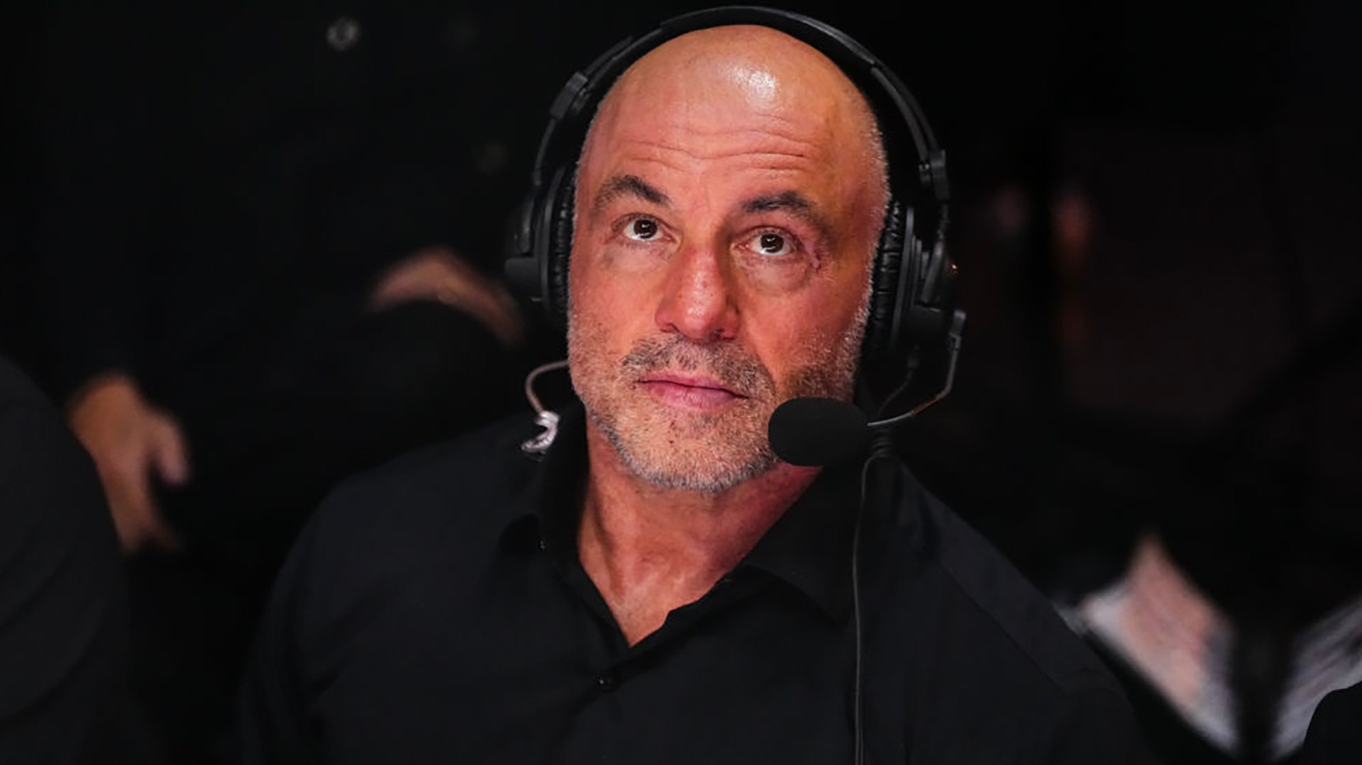 Joe Rogan Letter Letters: I'm a middle-class, left-wing woman – and I like Joe Rogan ...