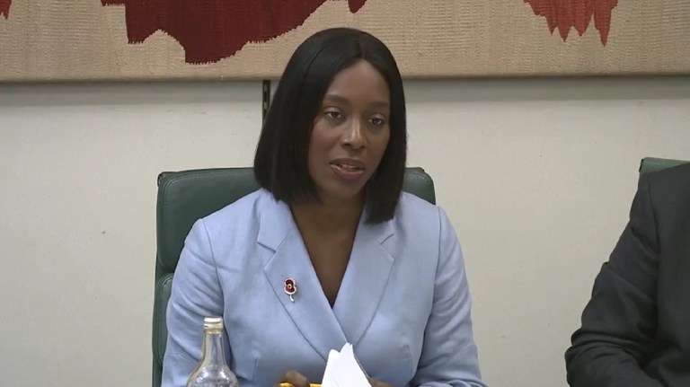 Housing committee chair Florence Eshalomi heads a committee on children living in temporary accommodation
