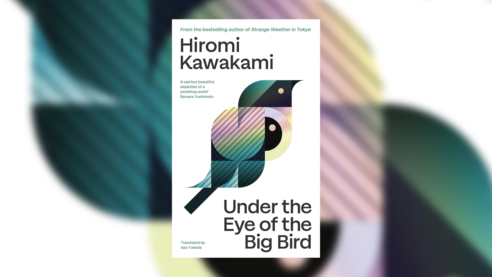 Under The Eye Of The Big Bird