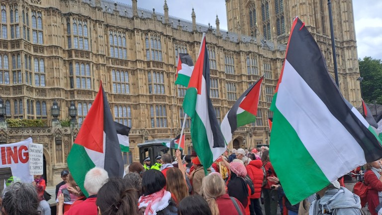 A protest for Gaza and Palestine outside Wesminister.