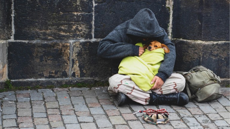 a homeless man sitting on the street with his dog