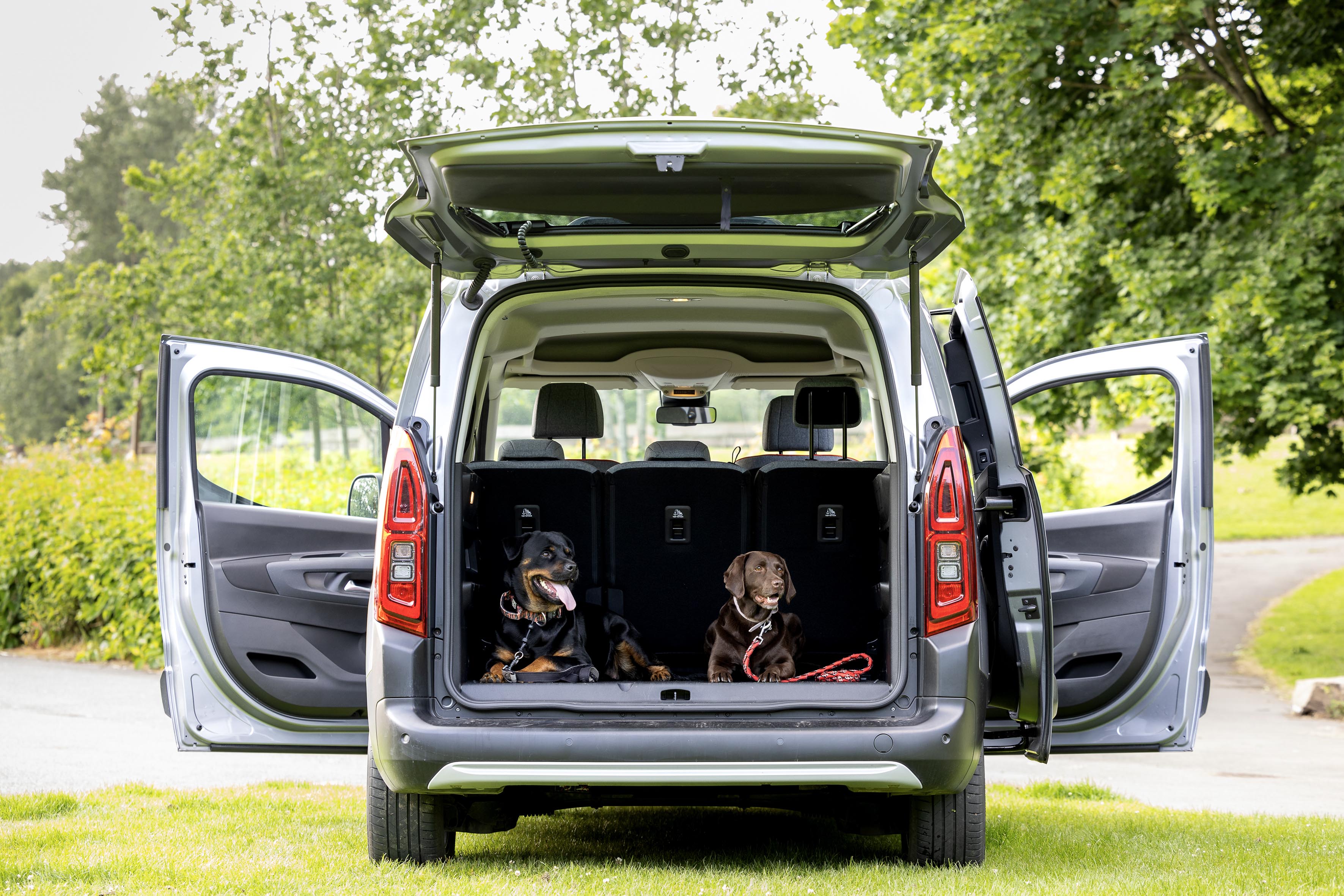 Two dogs sitting in boot space of Citroën ë-Berlingo electric car with all doors open showing interior space