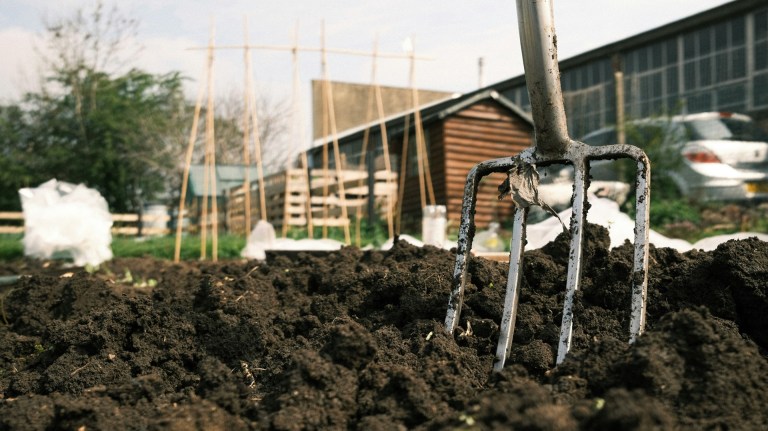 a pitchfork in the soil at an allotment