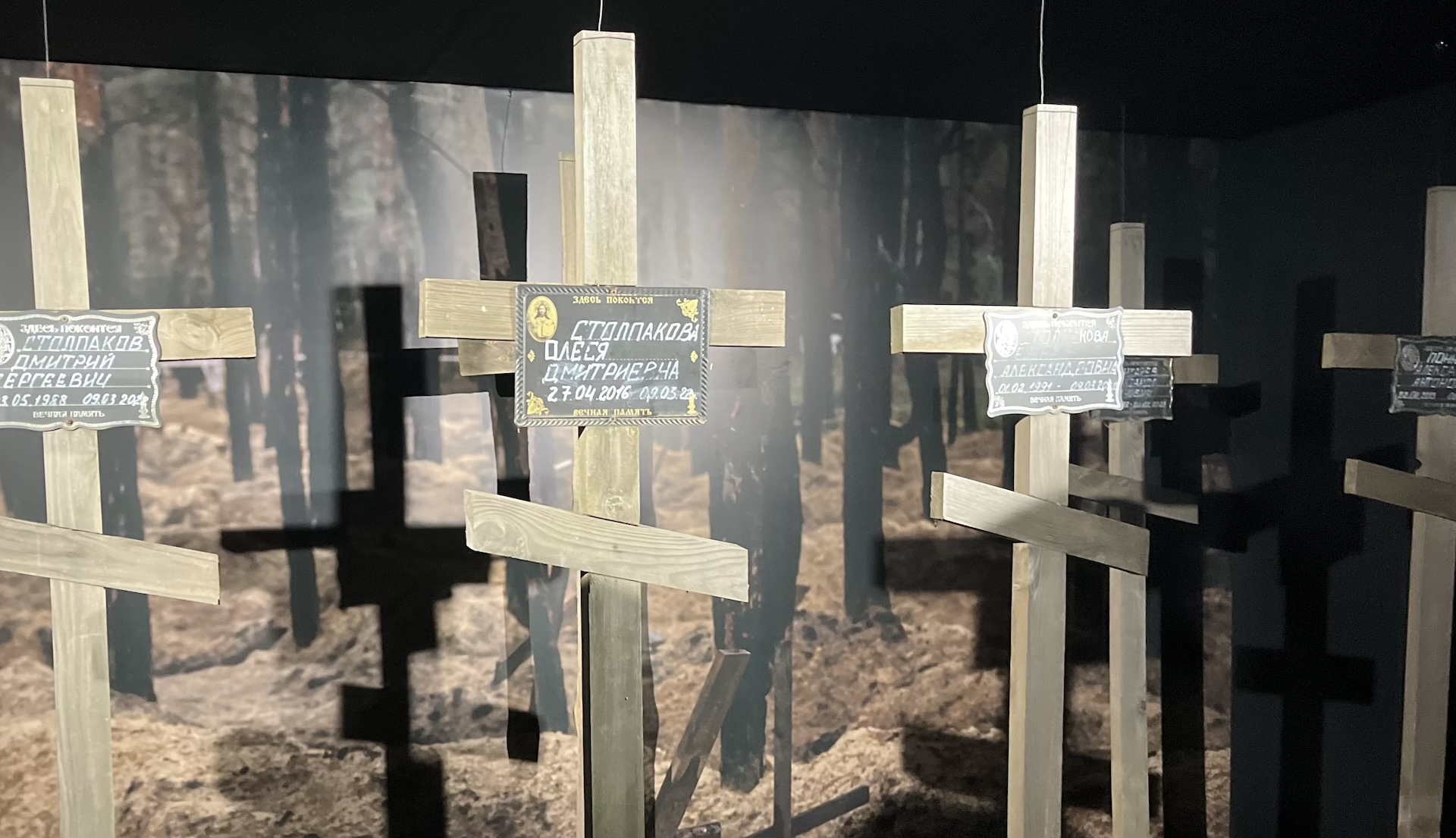graves of soldiers
