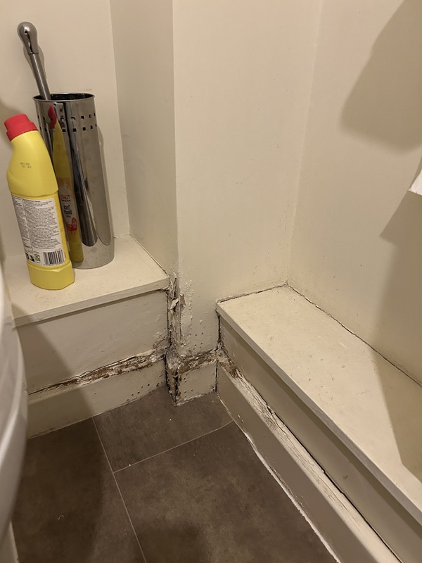Damage to Syed Alam's bathroom caused by leaks and damp and mould