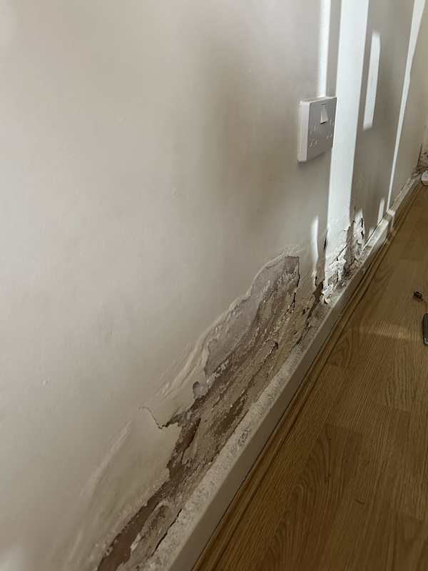 Damage to Syed Alam's living room caused by damp and mould