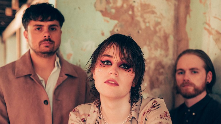 pupil slicer members