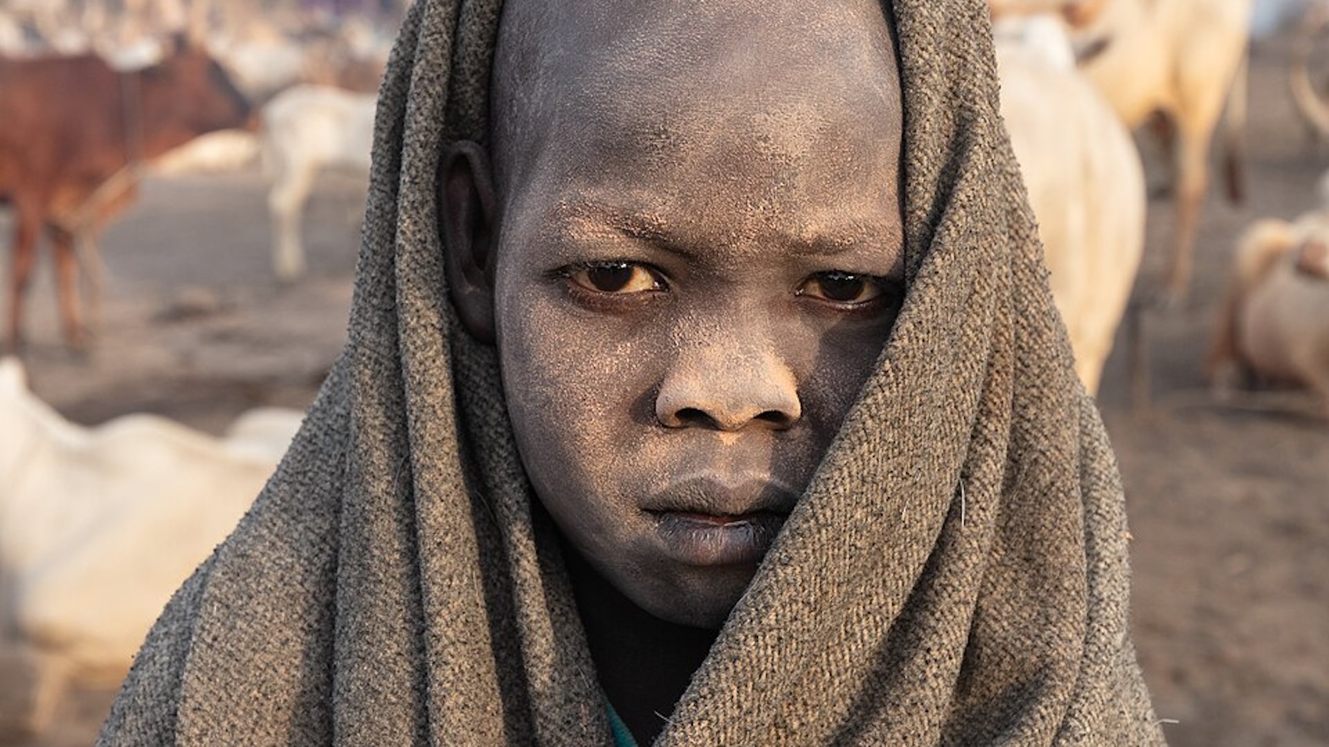 Boy on a cattle farm in south Sudan in 2024.