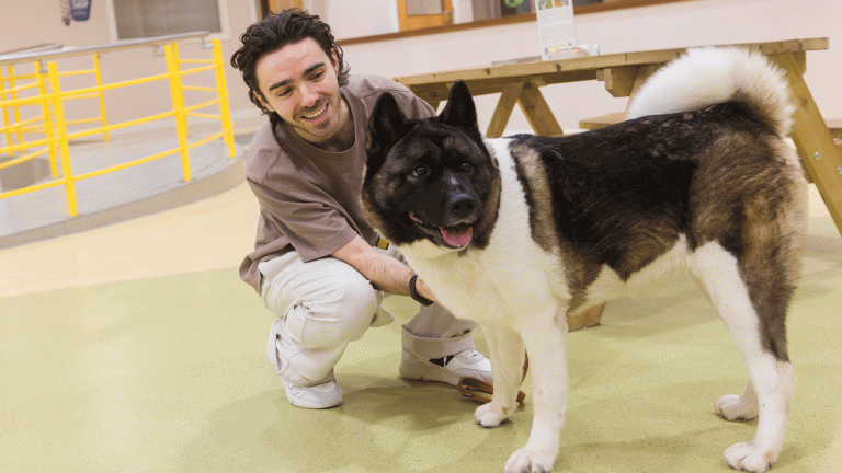 Sykes with one of the pups at Dogs Trust.
