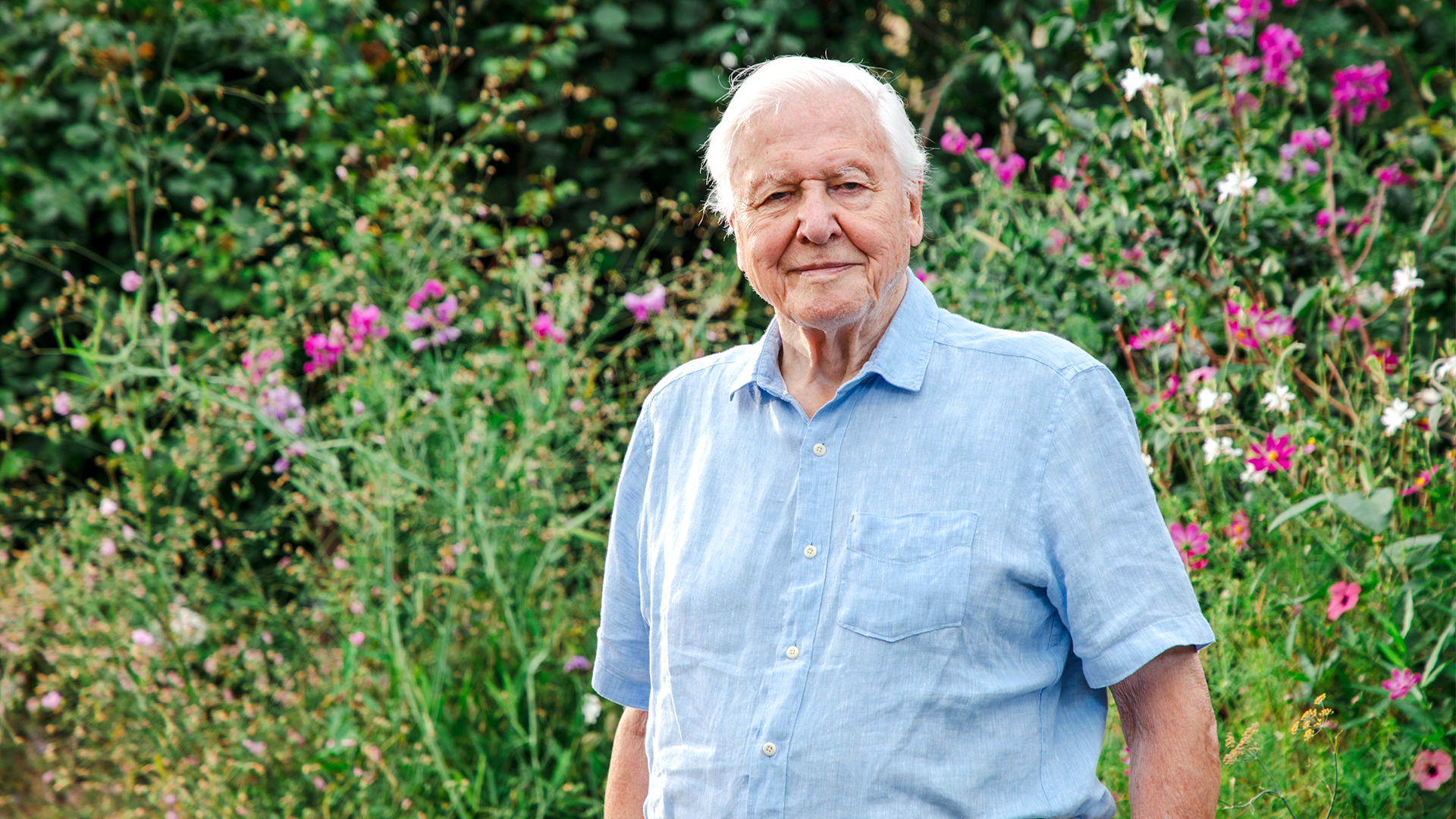 David Attenborough