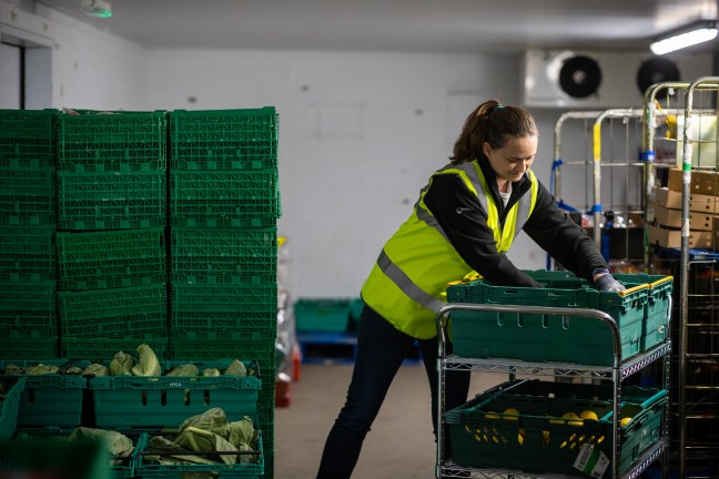 Image of a woman working at a food bank