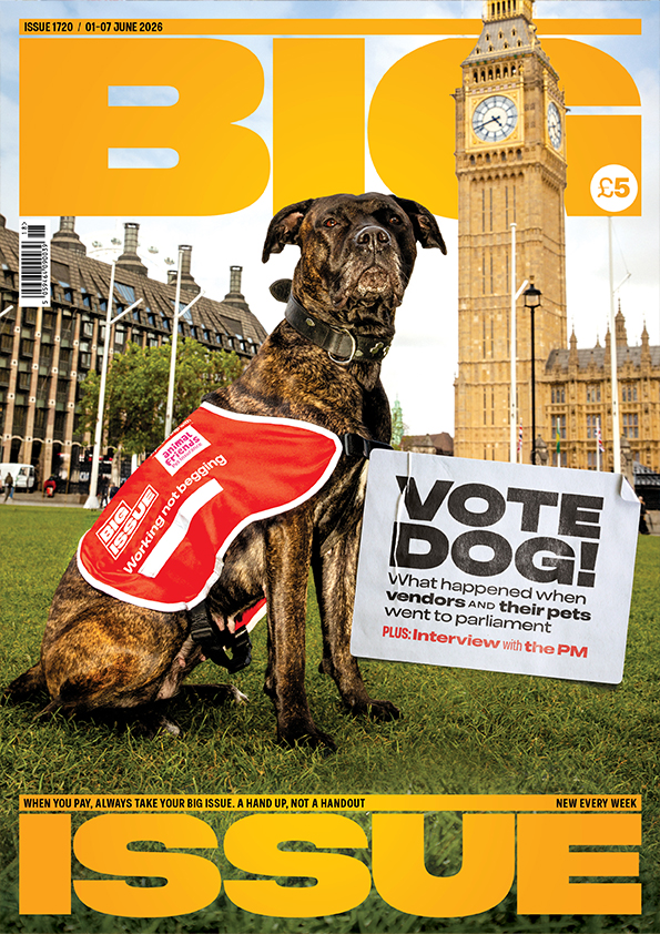 Vote dog!