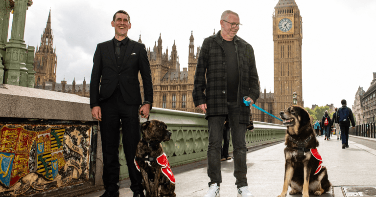 Dogs and vendors on westminster bridge