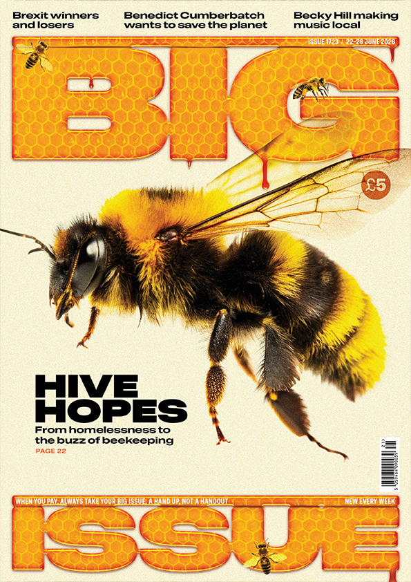 Hive hopes