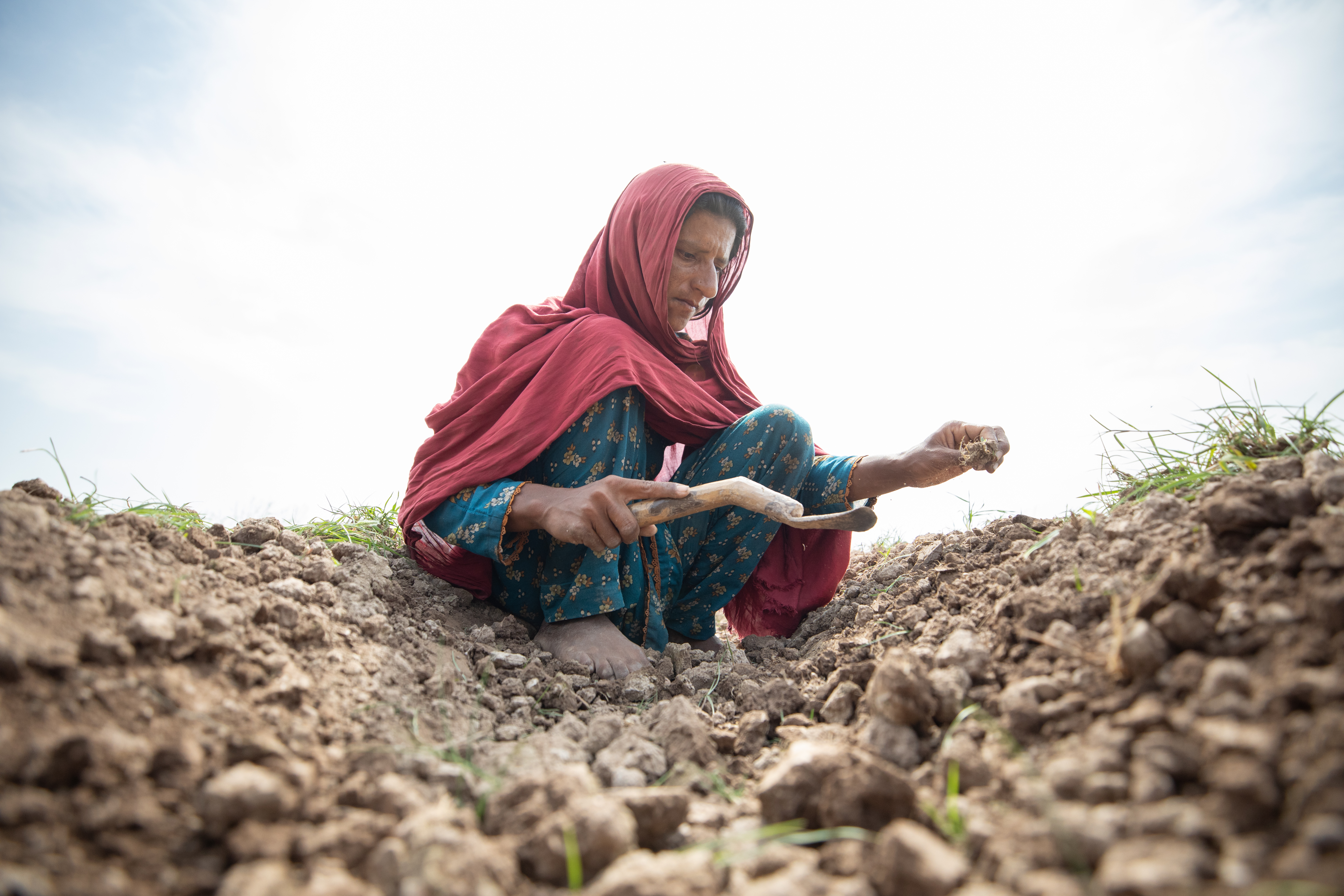 A Pakistan farming family: a woman sitting on the land