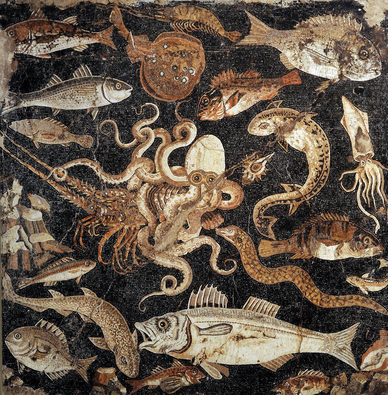 First-century mosiac of marine life