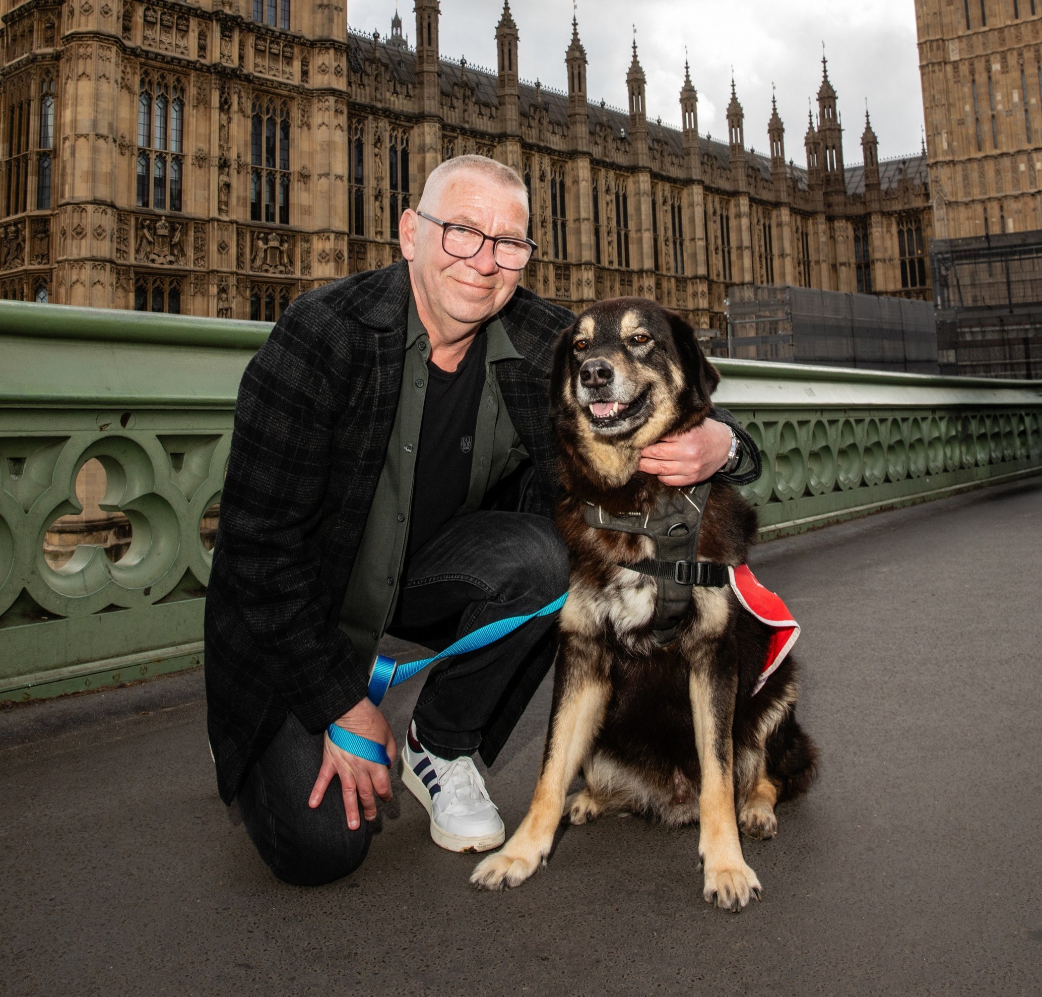 Big Issue vendor Ian with his dog on westminster bridge