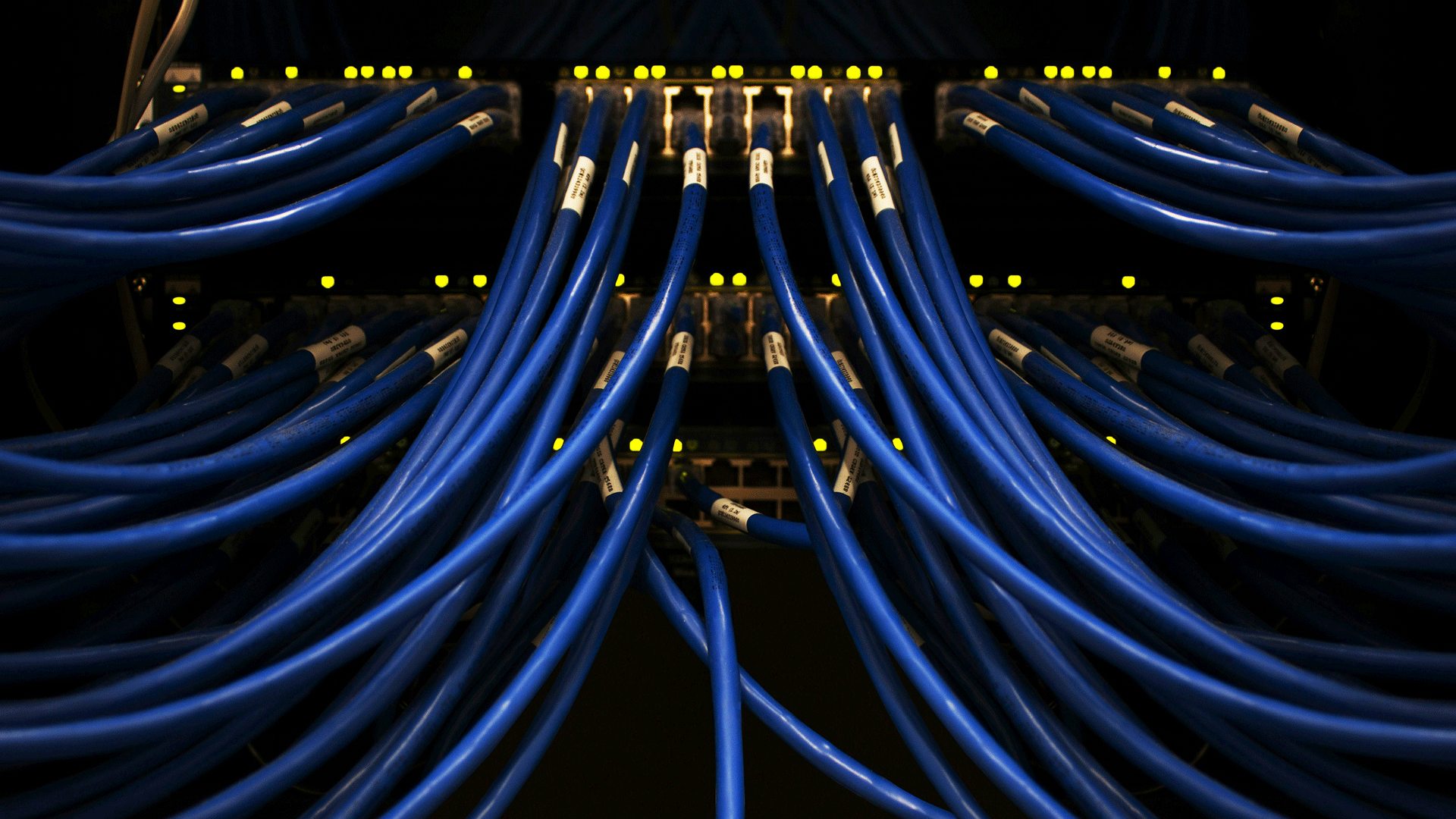 Wires connecting to a server