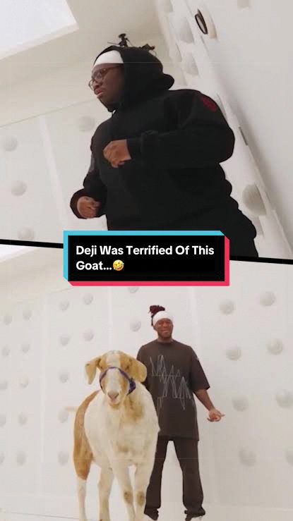 KSI and his brother Deji spent 24 hours in a box, with Ronaldo the goat for company