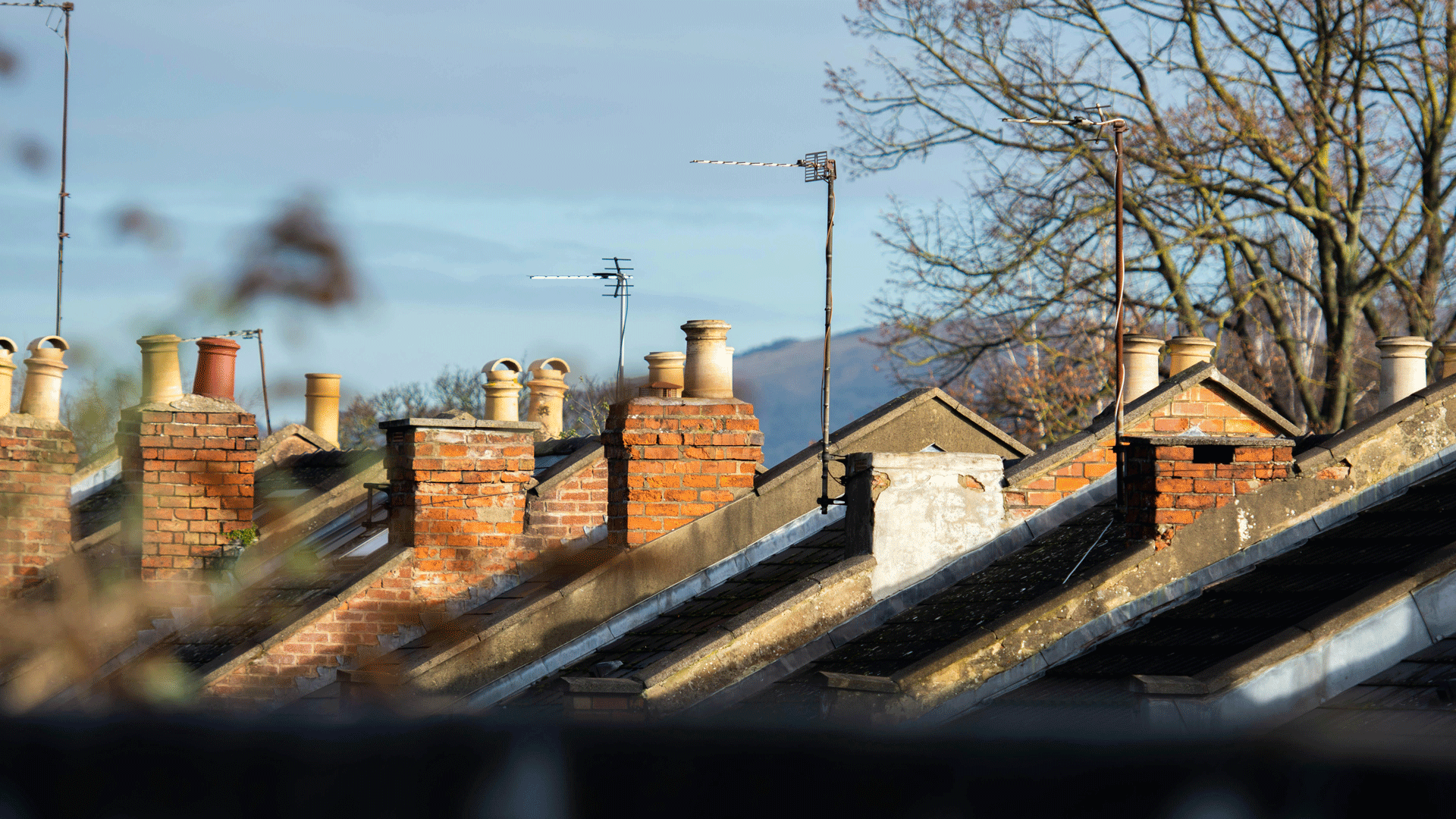 A row of house rooves and chimneys
